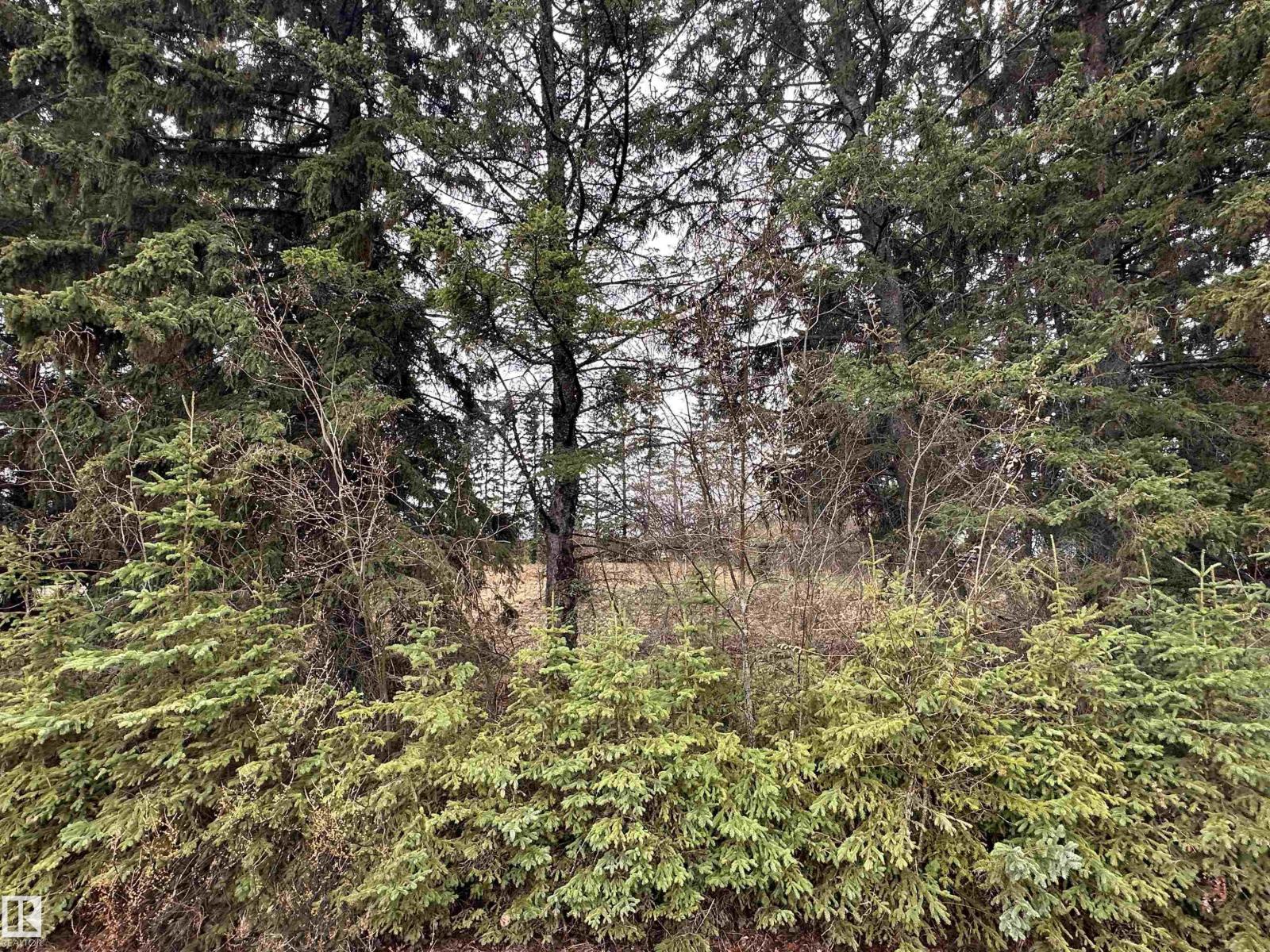 5301 50 Av, Fawcett, Alberta  T0G 0Y0 - Photo 3 - E4489963