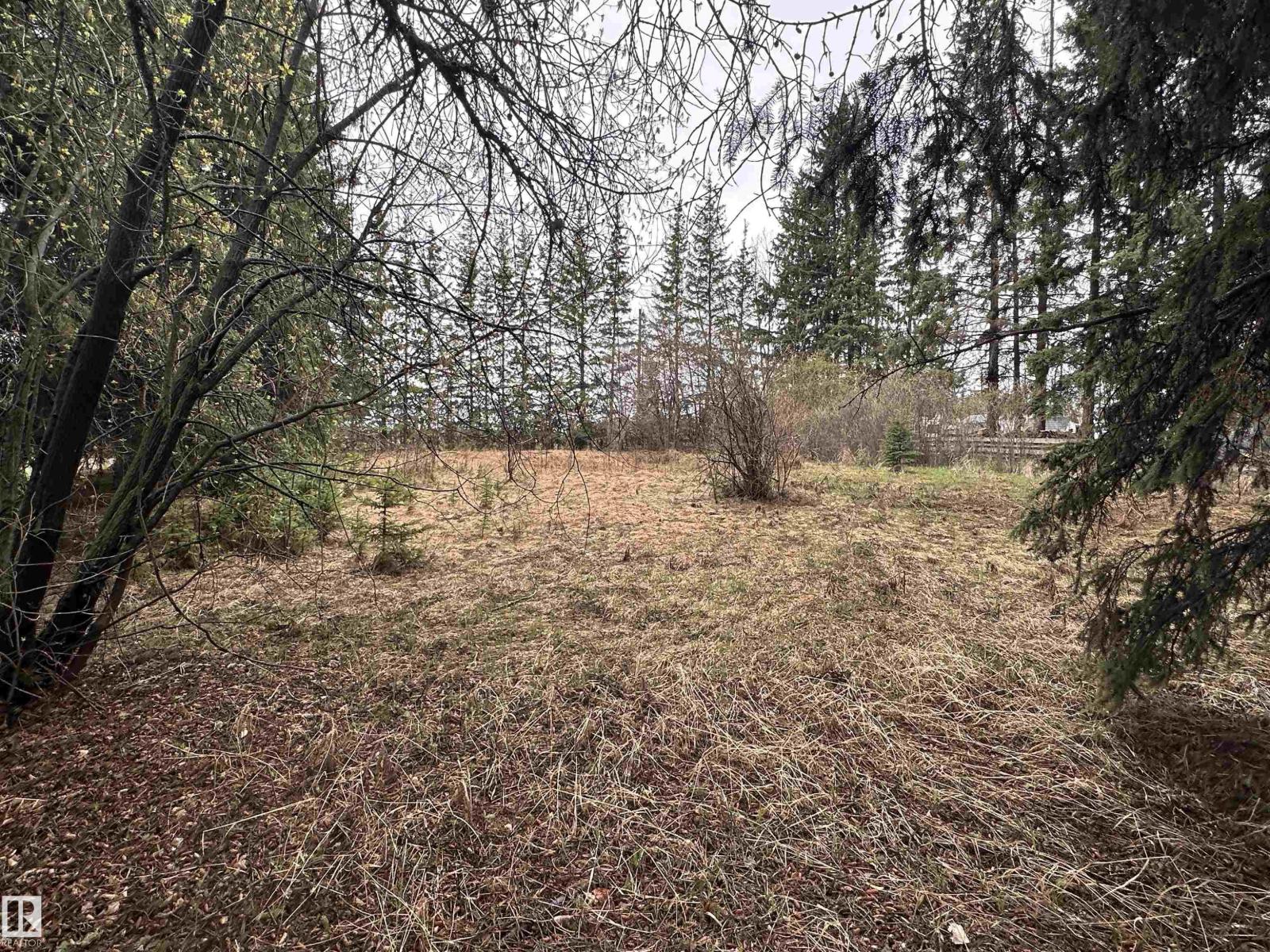 5301 50 Av, Fawcett, Alberta  T0G 0Y0 - Photo 4 - E4489963
