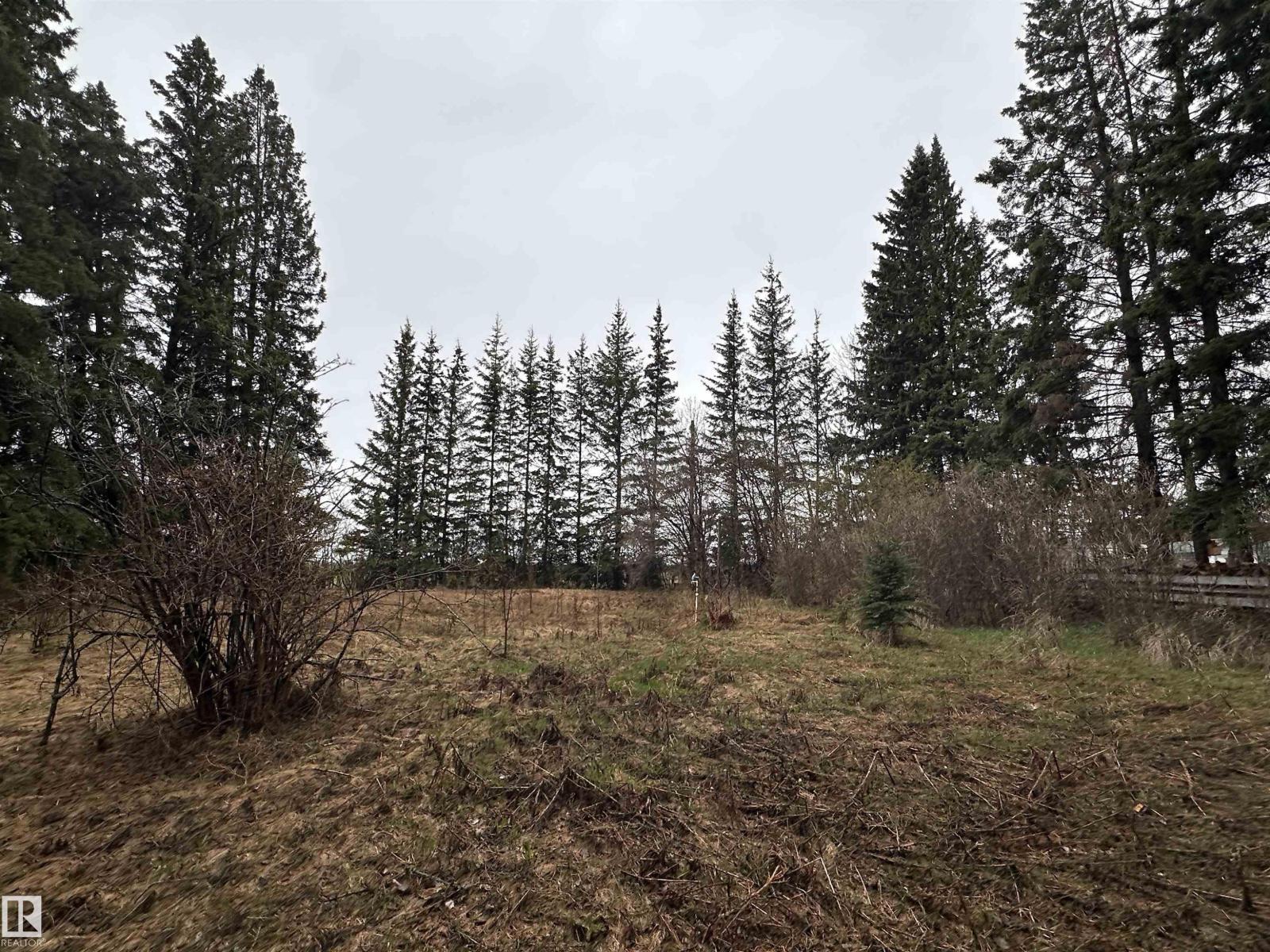 5301 50 Av, Fawcett, Alberta  T0G 0Y0 - Photo 5 - E4489963