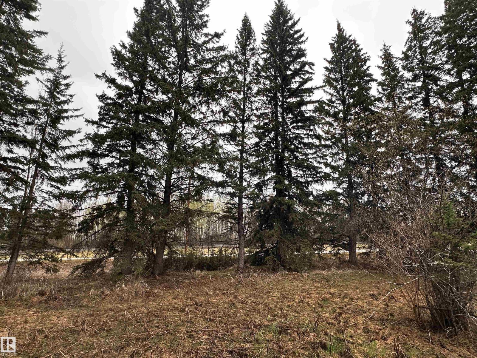 5301 50 Av, Fawcett, Alberta  T0G 0Y0 - Photo 6 - E4489963