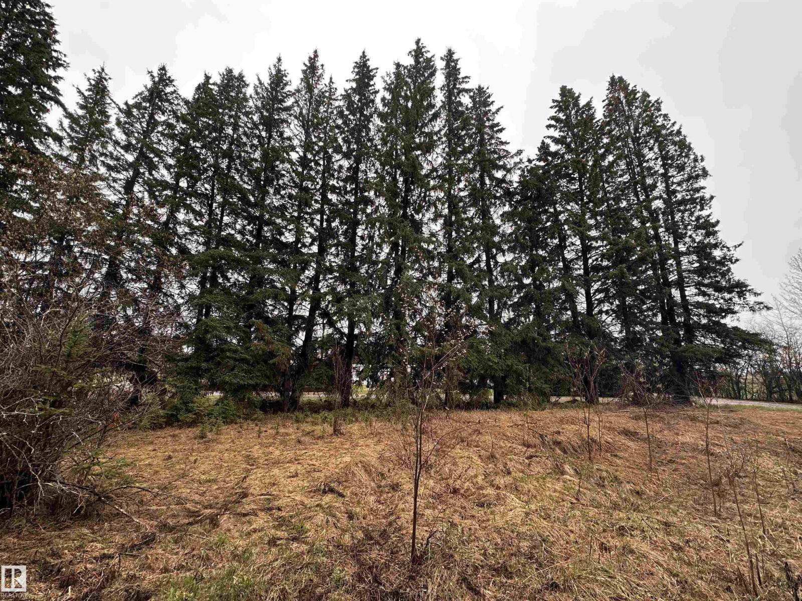 5301 50 Av, Fawcett, Alberta  T0G 0Y0 - Photo 7 - E4489963