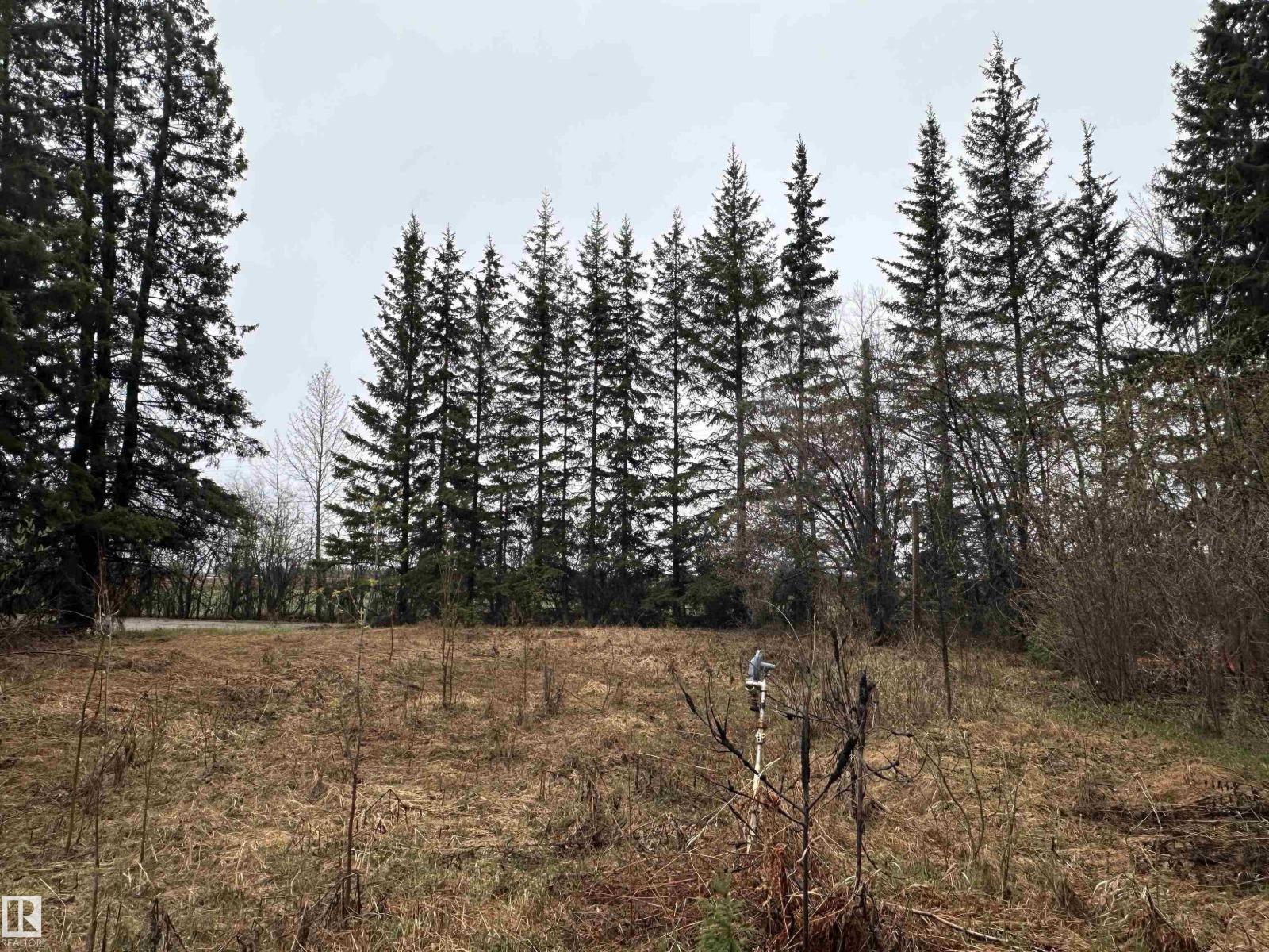 5301 50 Av, Fawcett, Alberta  T0G 0Y0 - Photo 8 - E4489963