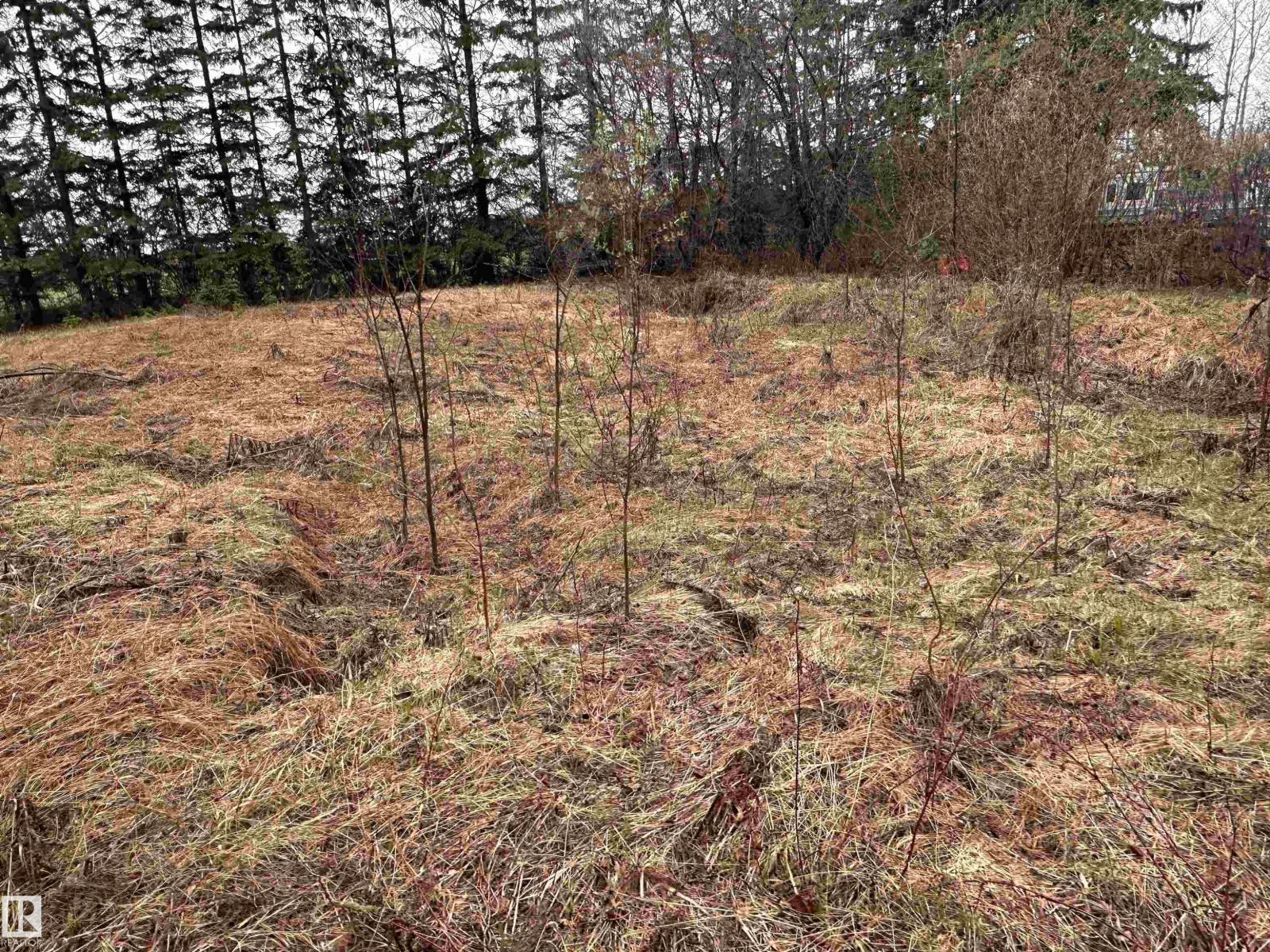 5301 50 Av, Fawcett, Alberta  T0G 0Y0 - Photo 9 - E4489963