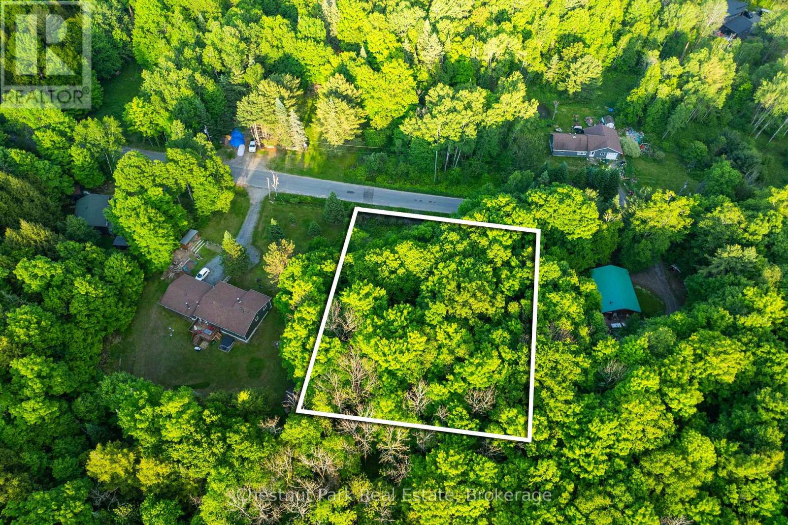 56 Vernon Lane, Huntsville, Ontario  P1H 2J2 - Photo 4 - X13174588
