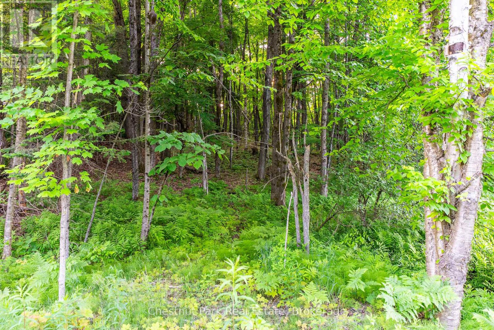 56 Vernon Lane, Huntsville, Ontario  P1H 2J2 - Photo 9 - X13174588