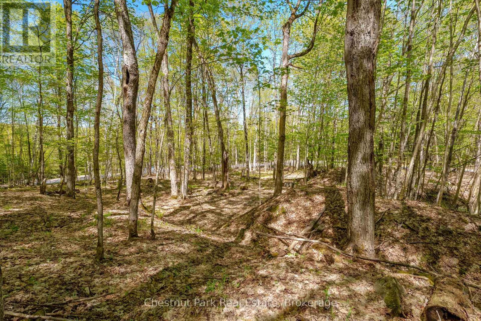 148 Vernon Lane, Huntsville, Ontario  P1H 2J2 - Photo 15 - X13174626