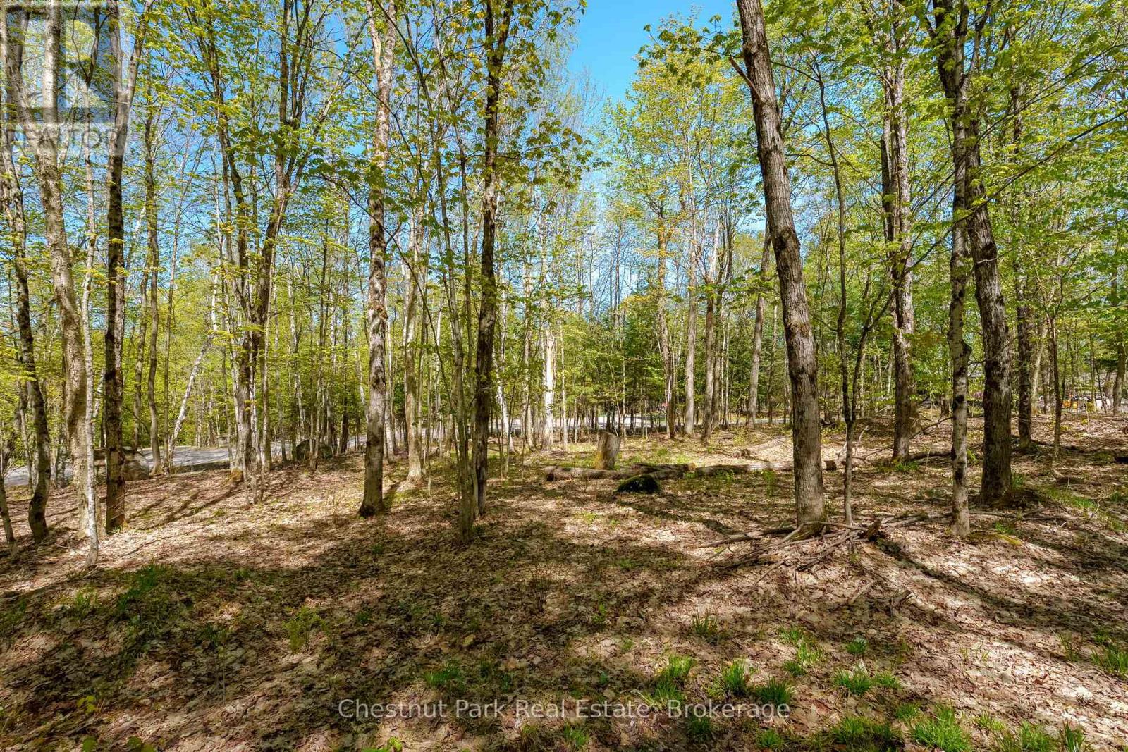 148 Vernon Lane, Huntsville, Ontario  P1H 2J2 - Photo 17 - X13174626