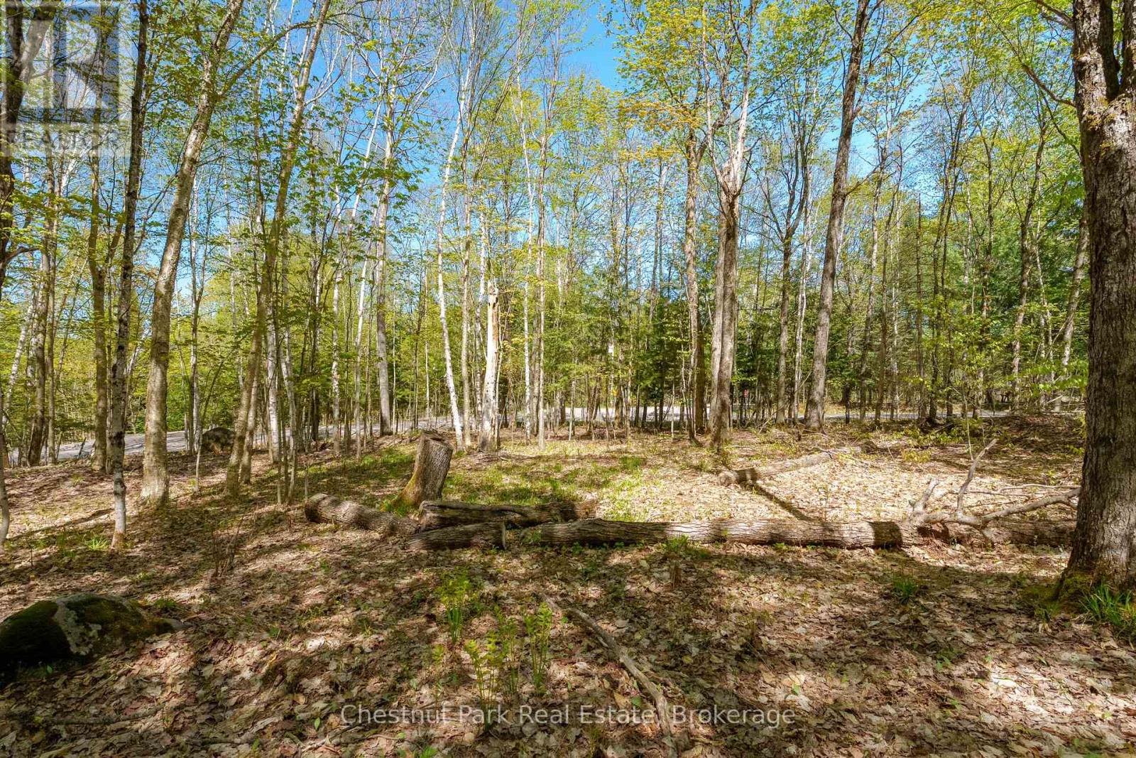148 Vernon Lane, Huntsville, Ontario  P1H 2J2 - Photo 18 - X13174626