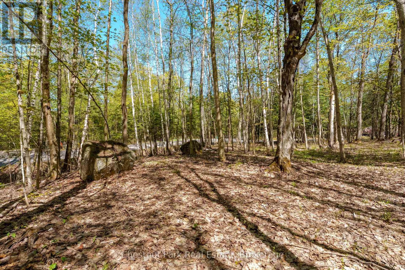 148 Vernon Lane, Huntsville, Ontario  P1H 2J2 - Photo 19 - X13174626