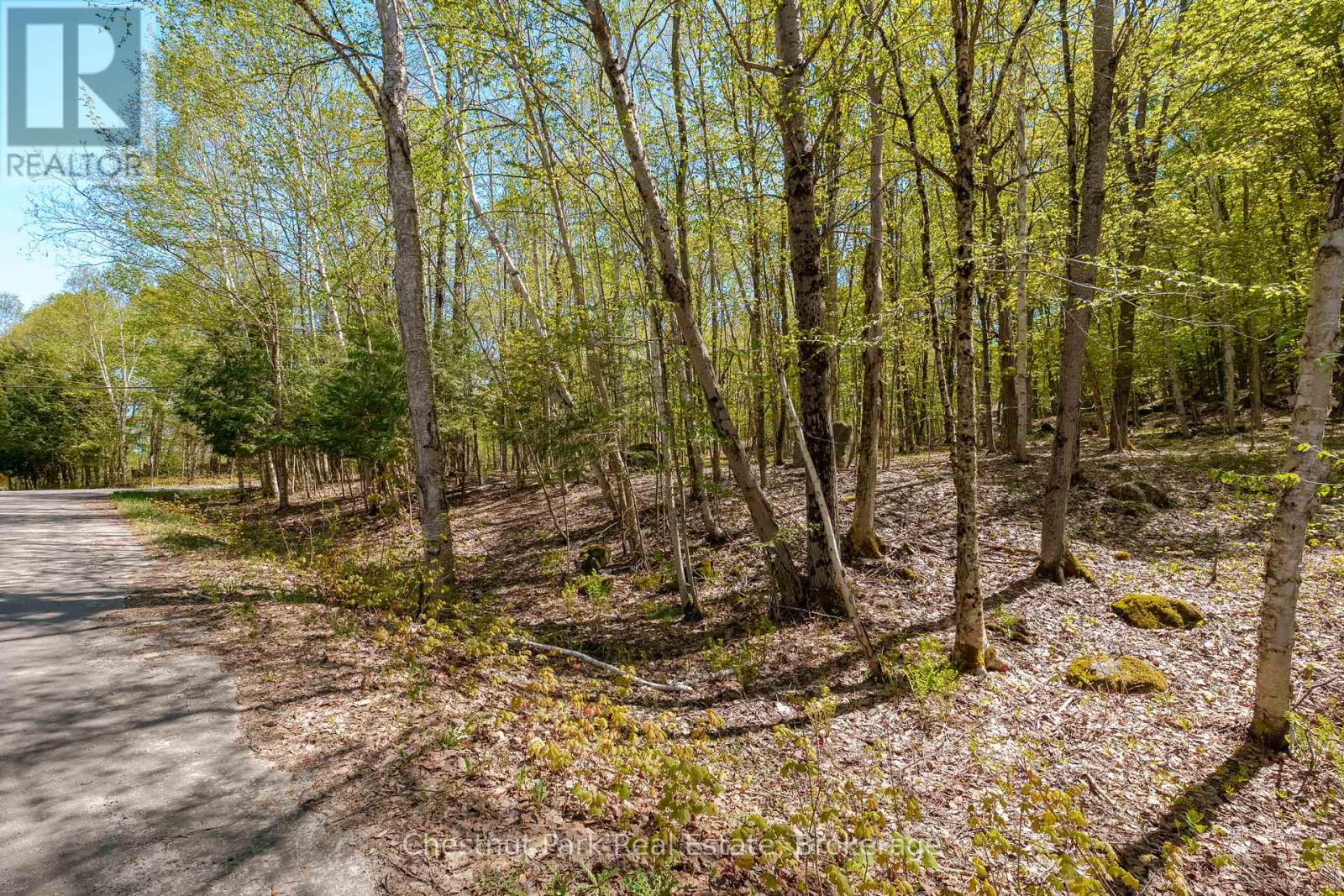 148 Vernon Lane, Huntsville, Ontario  P1H 2J2 - Photo 20 - X13174626