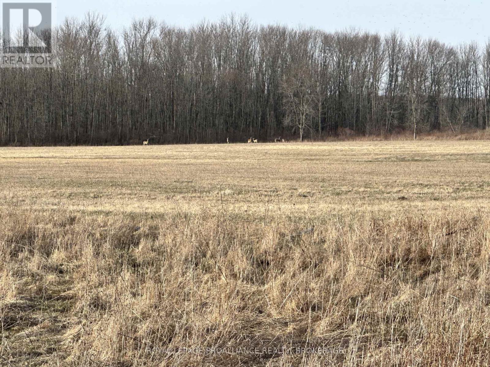 68 3rd Concession Road, Frontenac Islands, Ontario  K0H 2S0 - Photo 2 - X13174454