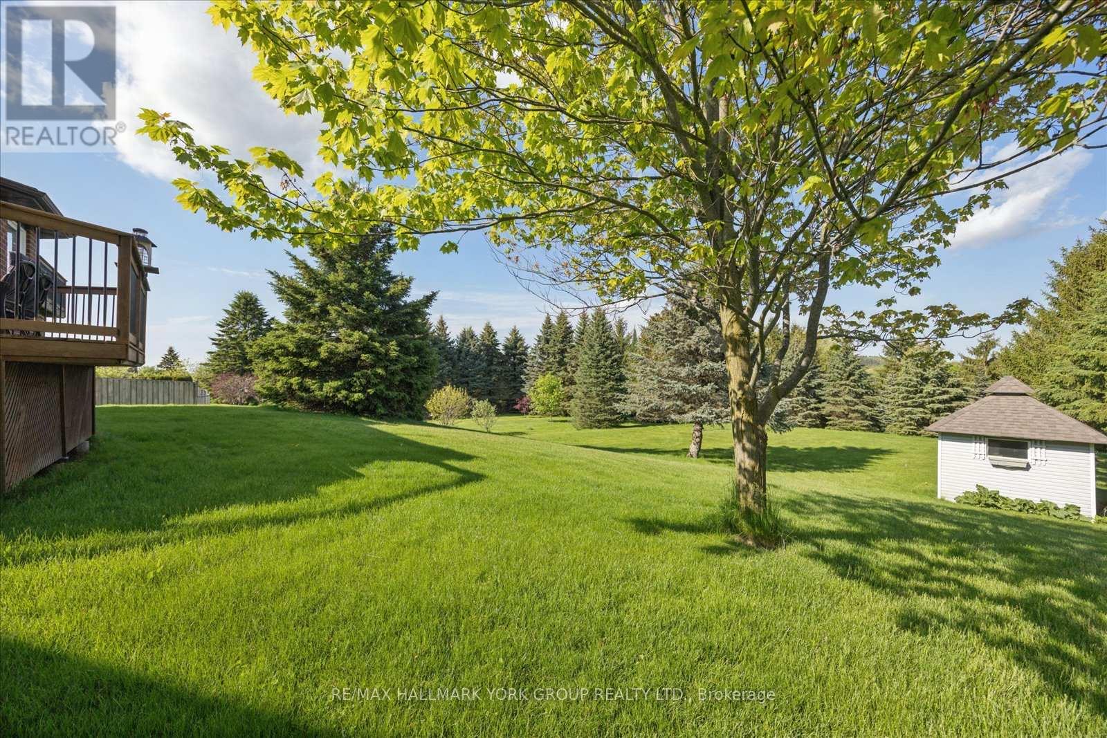 81 Samuel Lount Road, East Gwillimbury, Ontario  L9N 1G5 - Photo 45 - N13174628