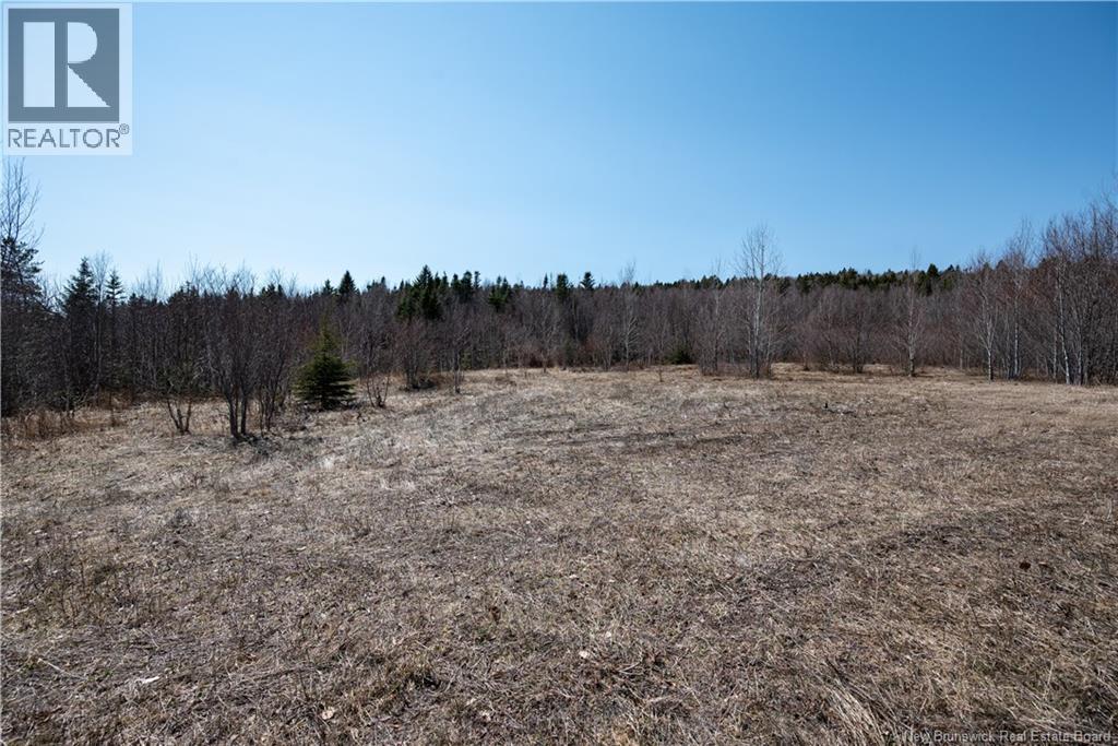 1266 Albert Mines Road, Lower Cape, New Brunswick  E4H 1X1 - Photo 39 - NB136859
