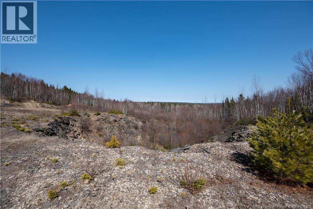 1266 Albert Mines Road, Lower Cape, New Brunswick  E4H 1X1 - Photo 41 - NB136859