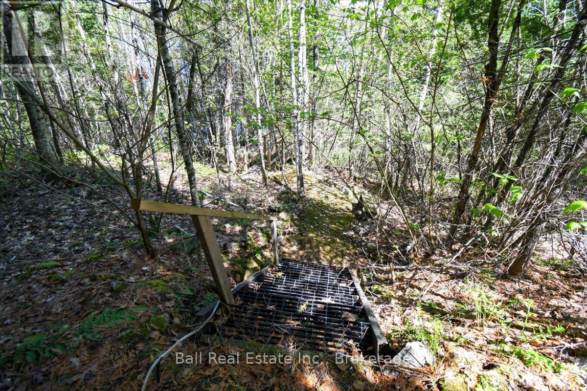 134 Millionaires Walk, Hastings Highlands, Ontario  K0L 1C0 - Photo 41 - X13174756