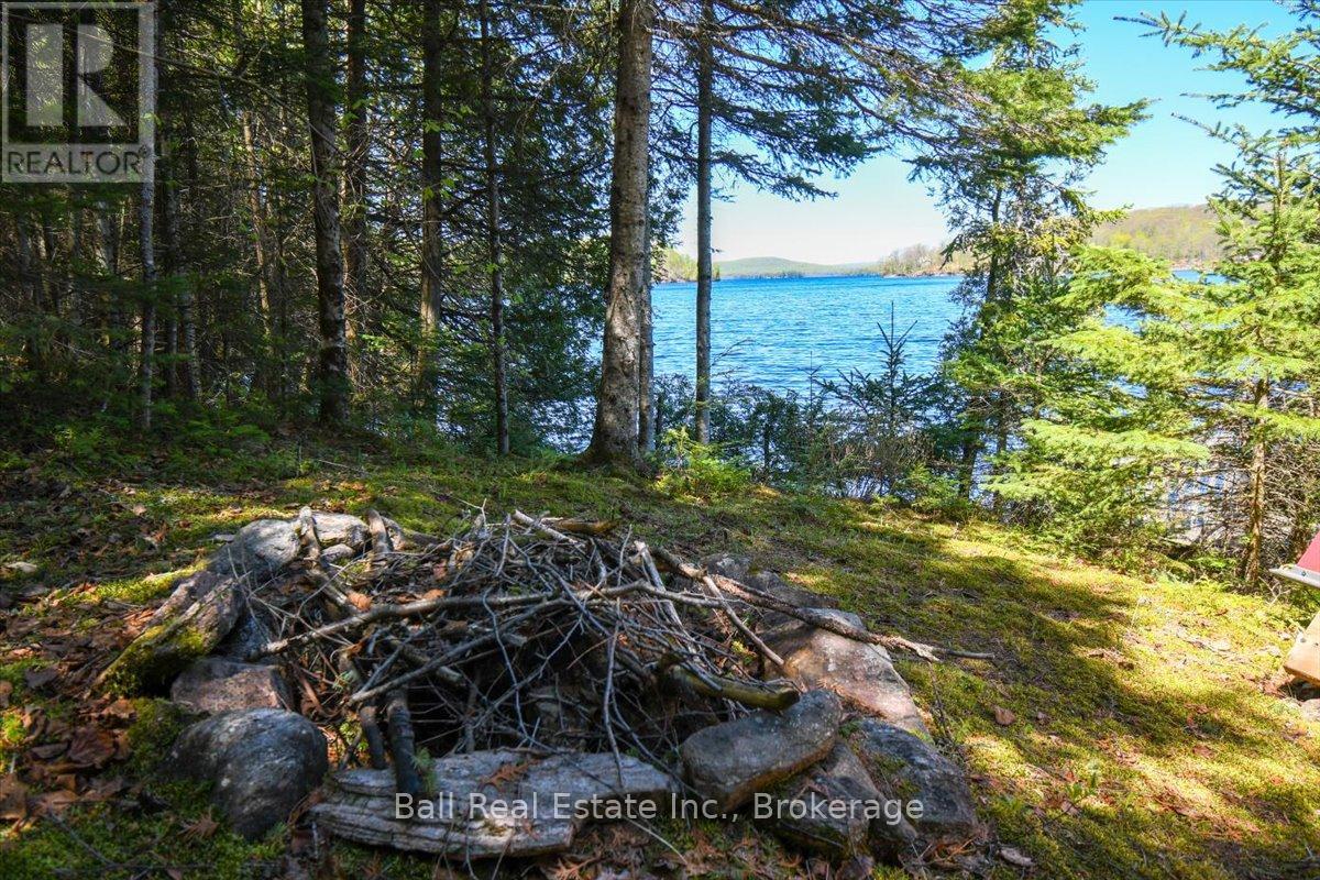 134 Millionaires Walk, Hastings Highlands, Ontario  K0L 1C0 - Photo 45 - X13174756