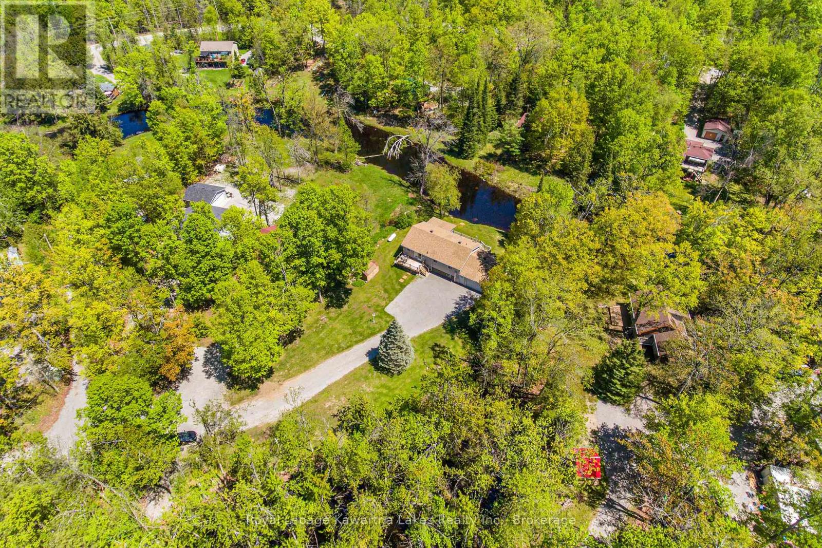 17 Fire Route, Trent Lakes, Ontario  K0M 1A0 - Photo 25 - X13175026