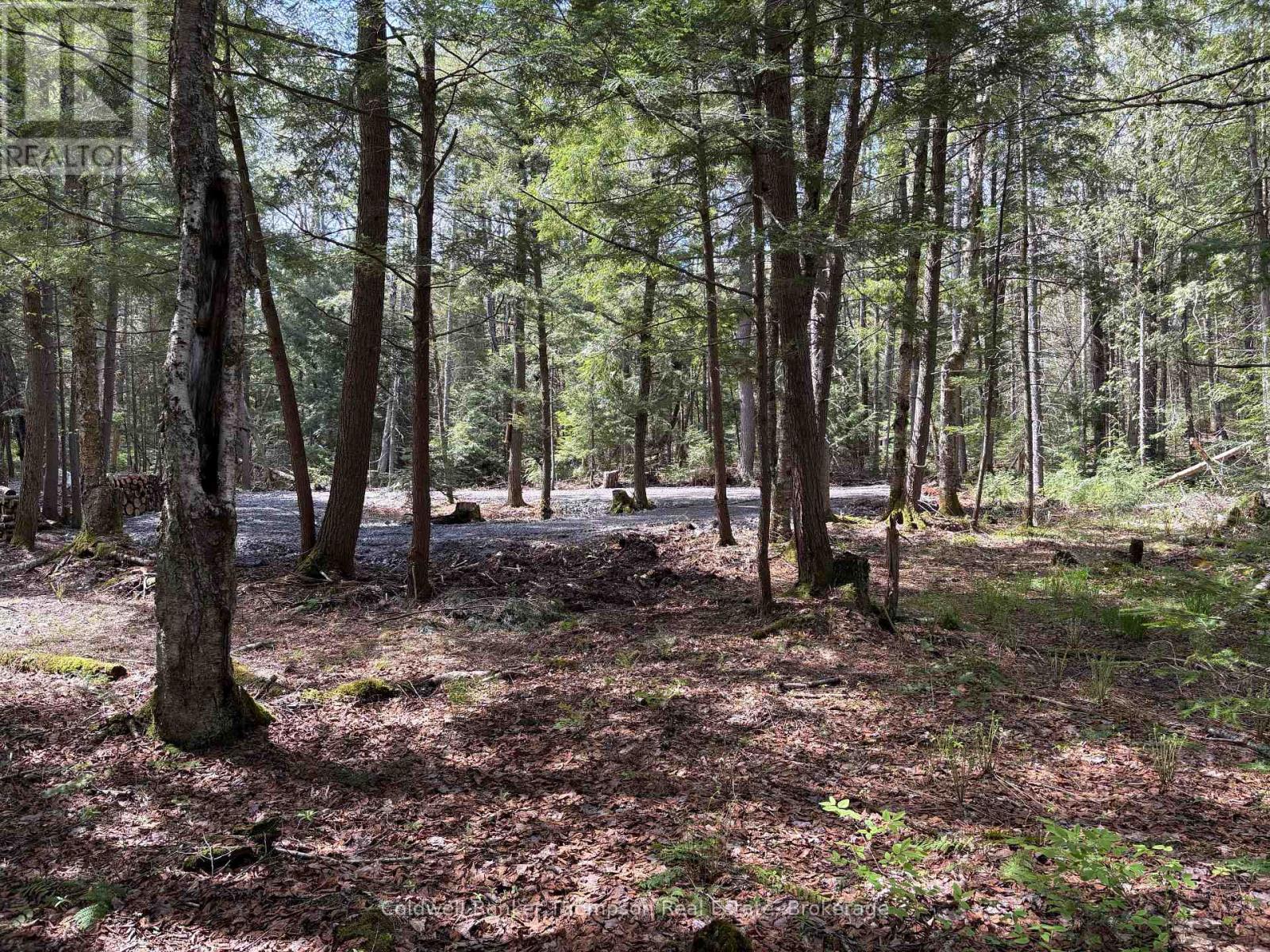 76 Rocky Road, Magnetawan, Ontario  P0A 1P0 - Photo 2 - X13174780