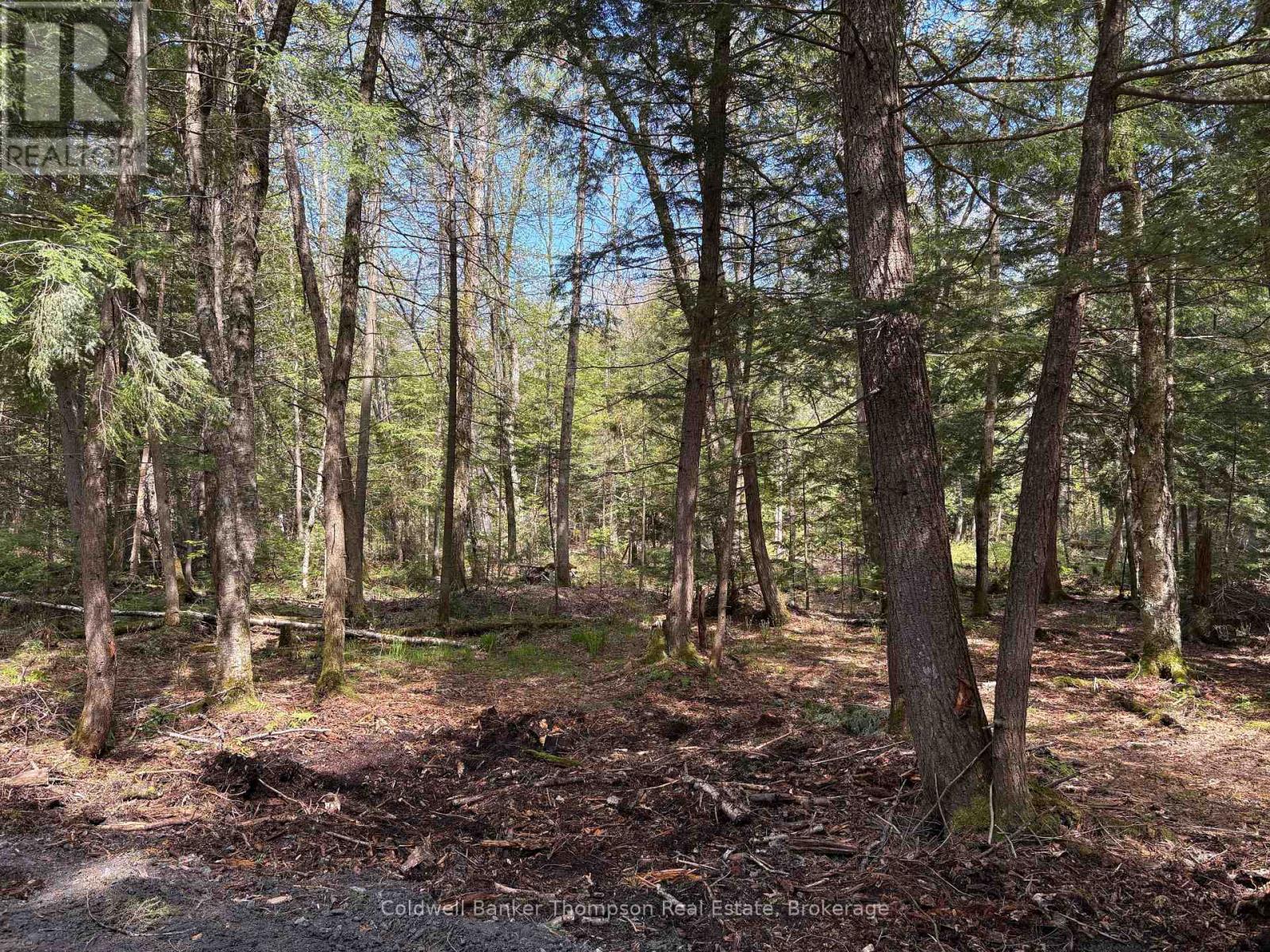 76 Rocky Road, Magnetawan, Ontario  P0A 1P0 - Photo 4 - X13174780