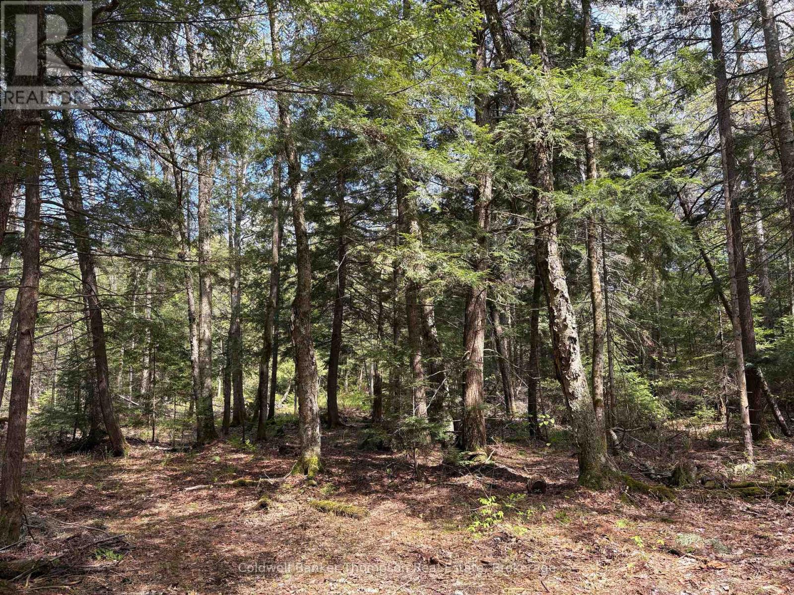 76 Rocky Road, Magnetawan, Ontario  P0A 1P0 - Photo 5 - X13174780