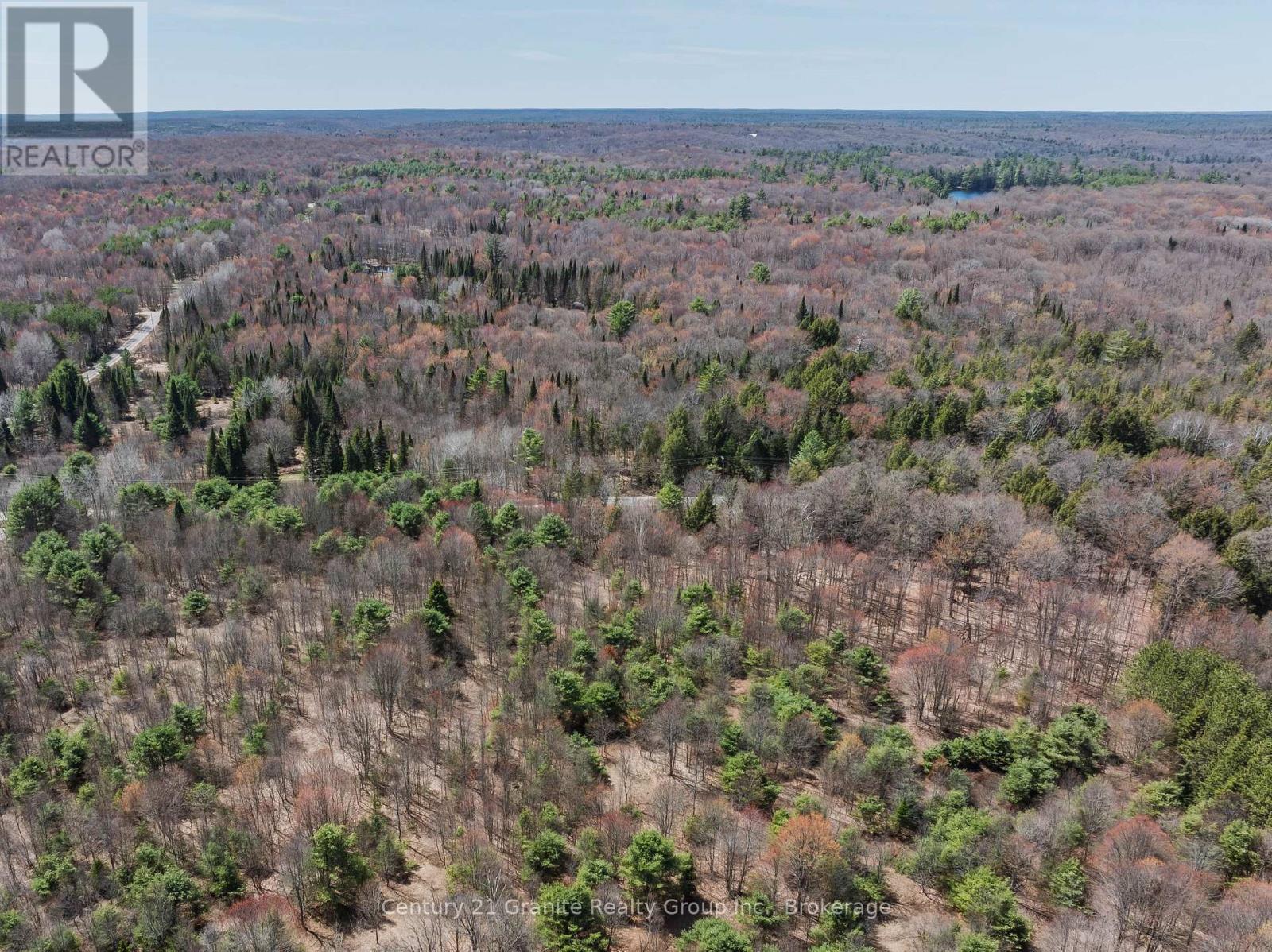 0 Buckslide Road, Algonquin Highlands (Stanhope), Ontario  K0M 1S0 - Photo 5 - X13175114