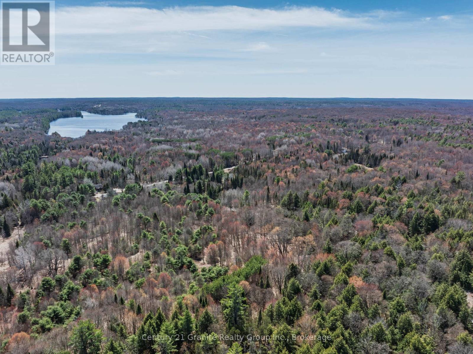 0 Buckslide Road, Algonquin Highlands (Stanhope), Ontario  K0M 1S0 - Photo 9 - X13175114