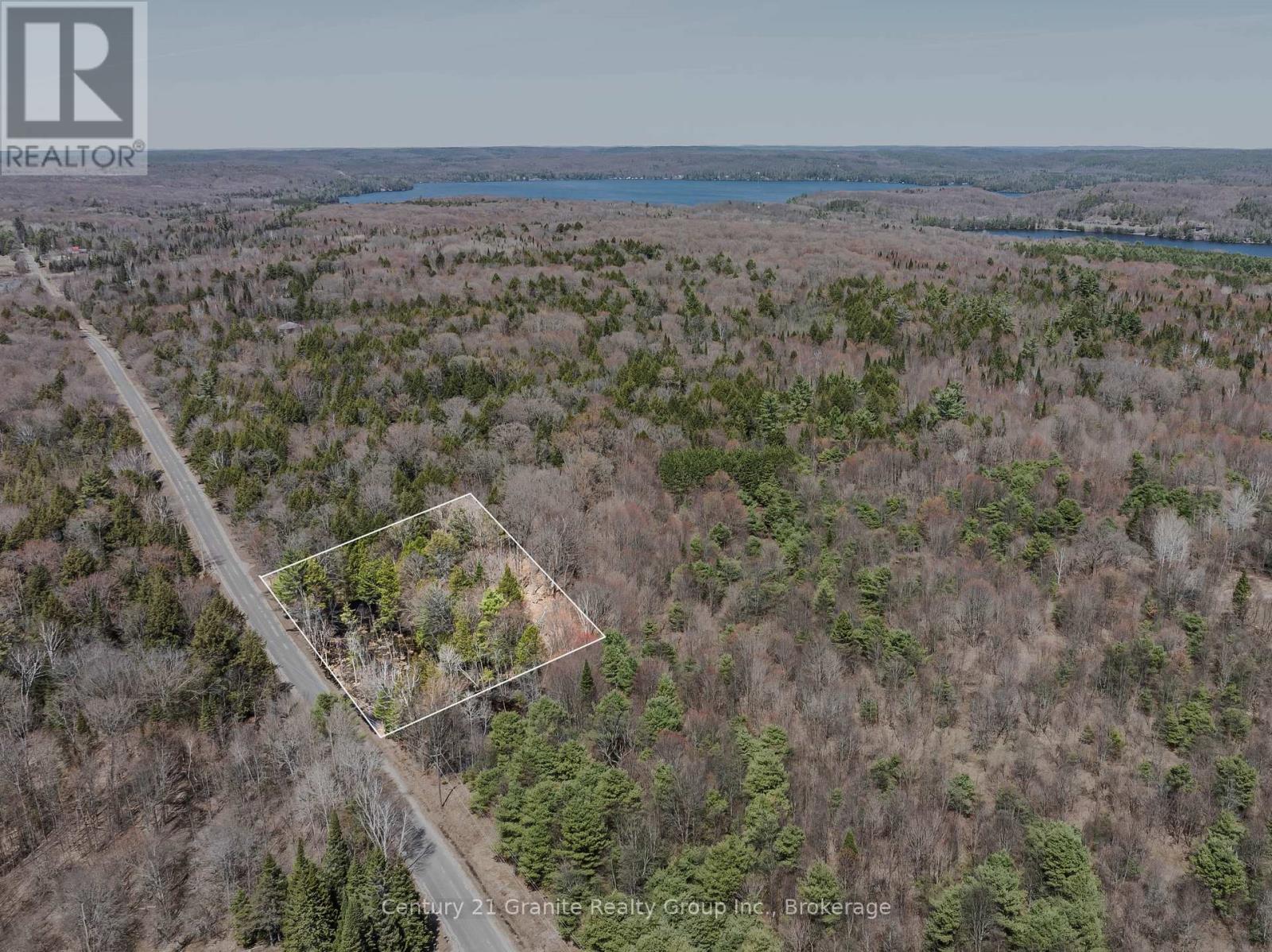 0 Buckslide Road, Algonquin Highlands (Stanhope), Ontario  K0M 1S0 - Photo 12 - X13175198