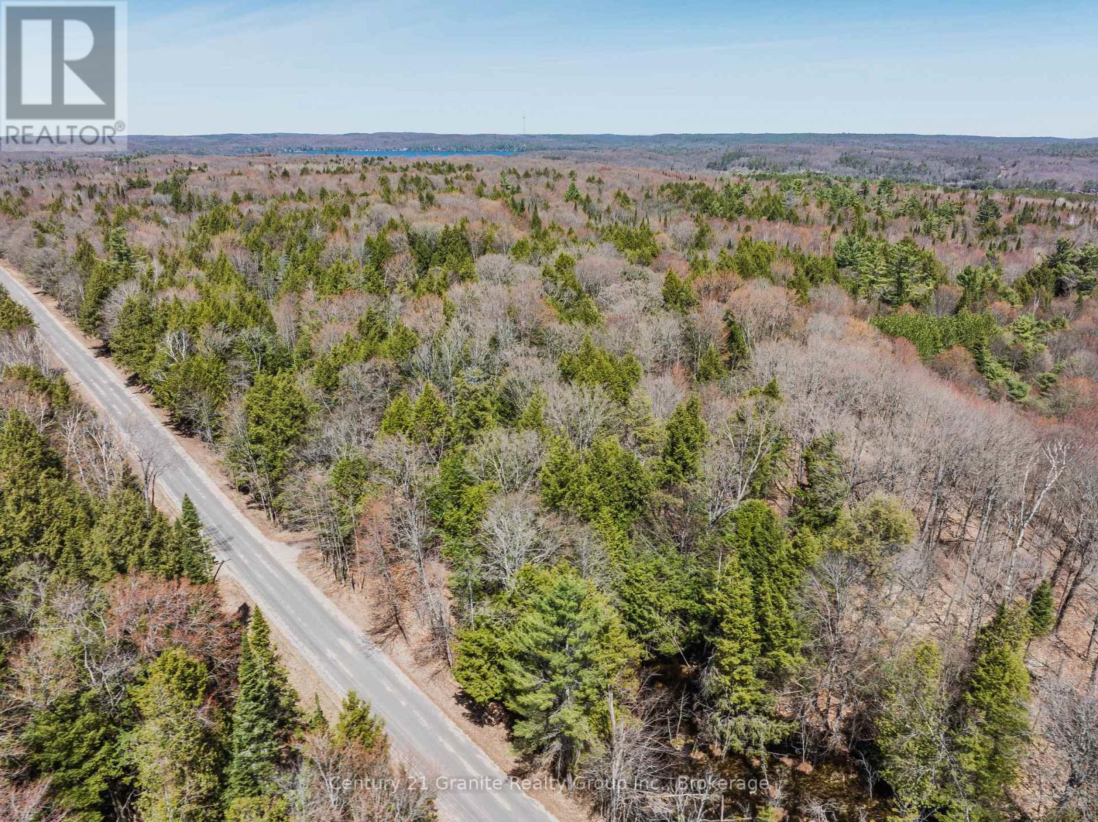 0 Buckslide Road, Algonquin Highlands (Stanhope), Ontario  K0M 1S0 - Photo 4 - X13175198