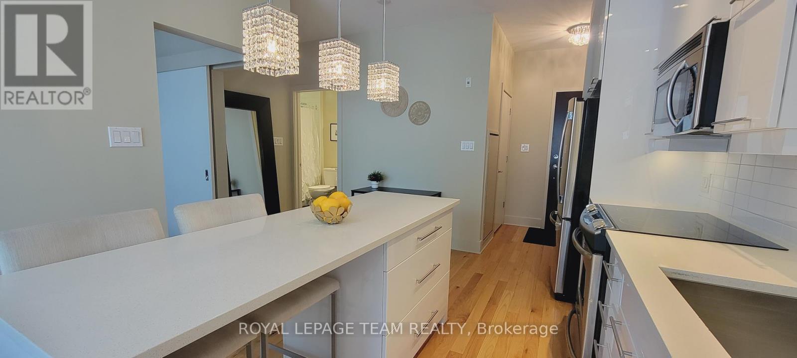 317 - 101 Richmond Road, Ottawa, Ontario  K1Z 0A6 - Photo 4 - X13174874