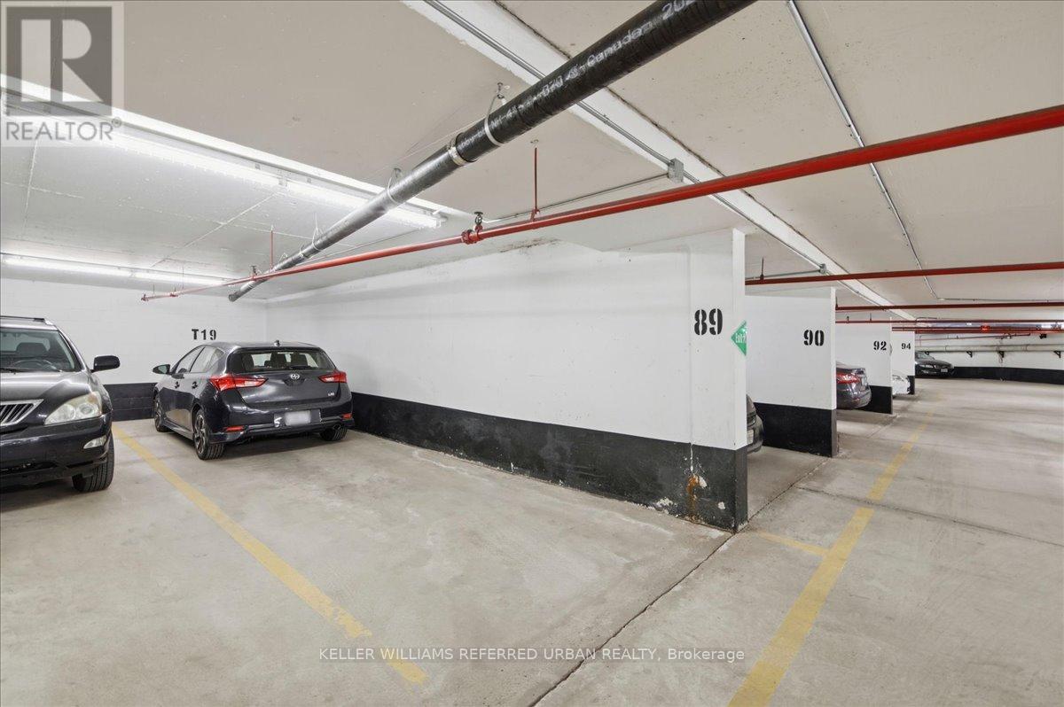 2009 - 33 Elmhurst Avenue, Toronto, Ontario  M2N 6G8 - Photo 27 - C13174674