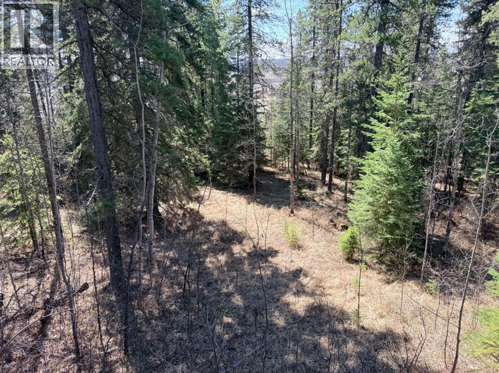 10a 80041-Old Hwy 11a, Rural Clearwater County, Alberta  T4T 2A2 - Photo 9 - A2309204