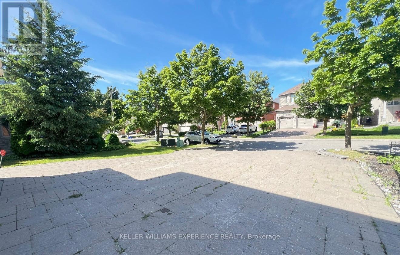 Bsmt - 44 Alpine Crescent, Richmond Hill, Ontario  L4S 1W4 - Photo 2 - N13174888