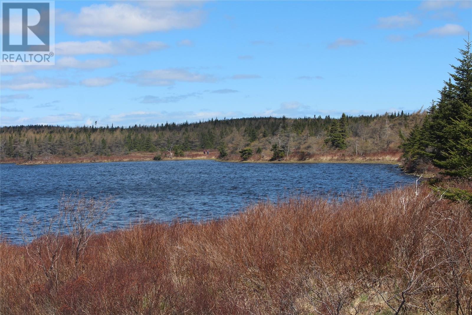 112-114 Southern Shore Highway, Bay Bulls, Newfoundland & Labrador  A0A 1C0 - Photo 6 - 1297924