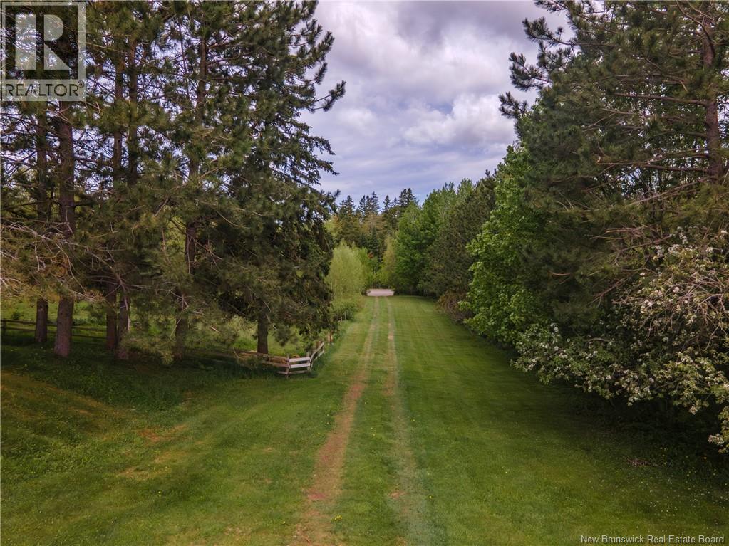 1250 Salmon Creek Road, Codys, New Brunswick  E4C 1E8 - Photo 49 - NB136353
