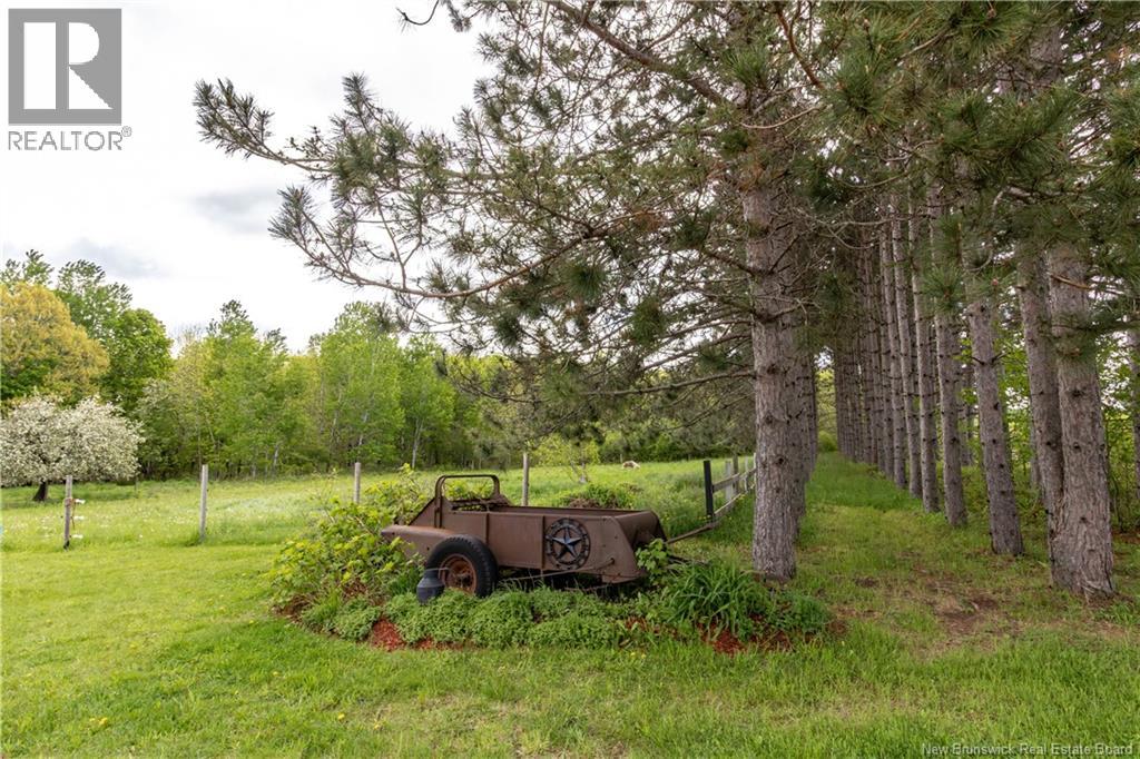 1250 Salmon Creek Road, Codys, New Brunswick  E4C 1E8 - Photo 47 - NB136353
