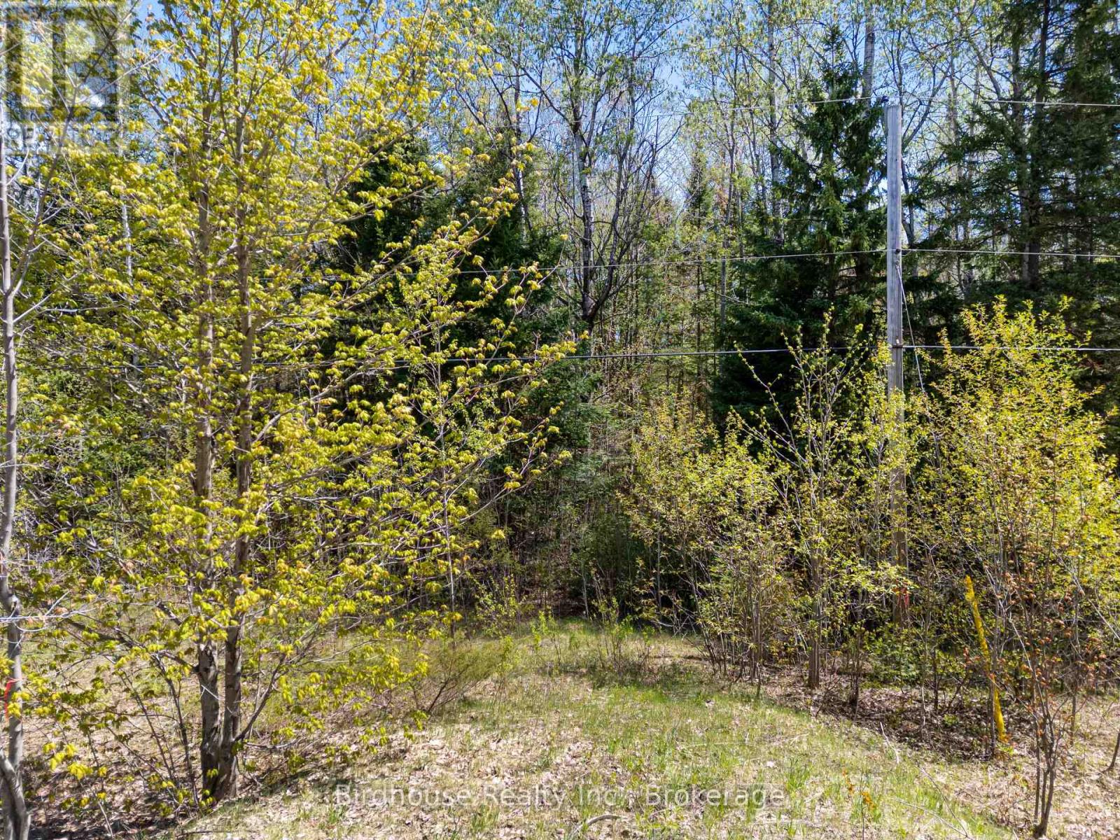 Pt Lt 26 Con 17 Cardiff Hwy #648 (Loop) Road, Highlands East, Ontario  K0L 2A0 - Photo 13 - X13175262