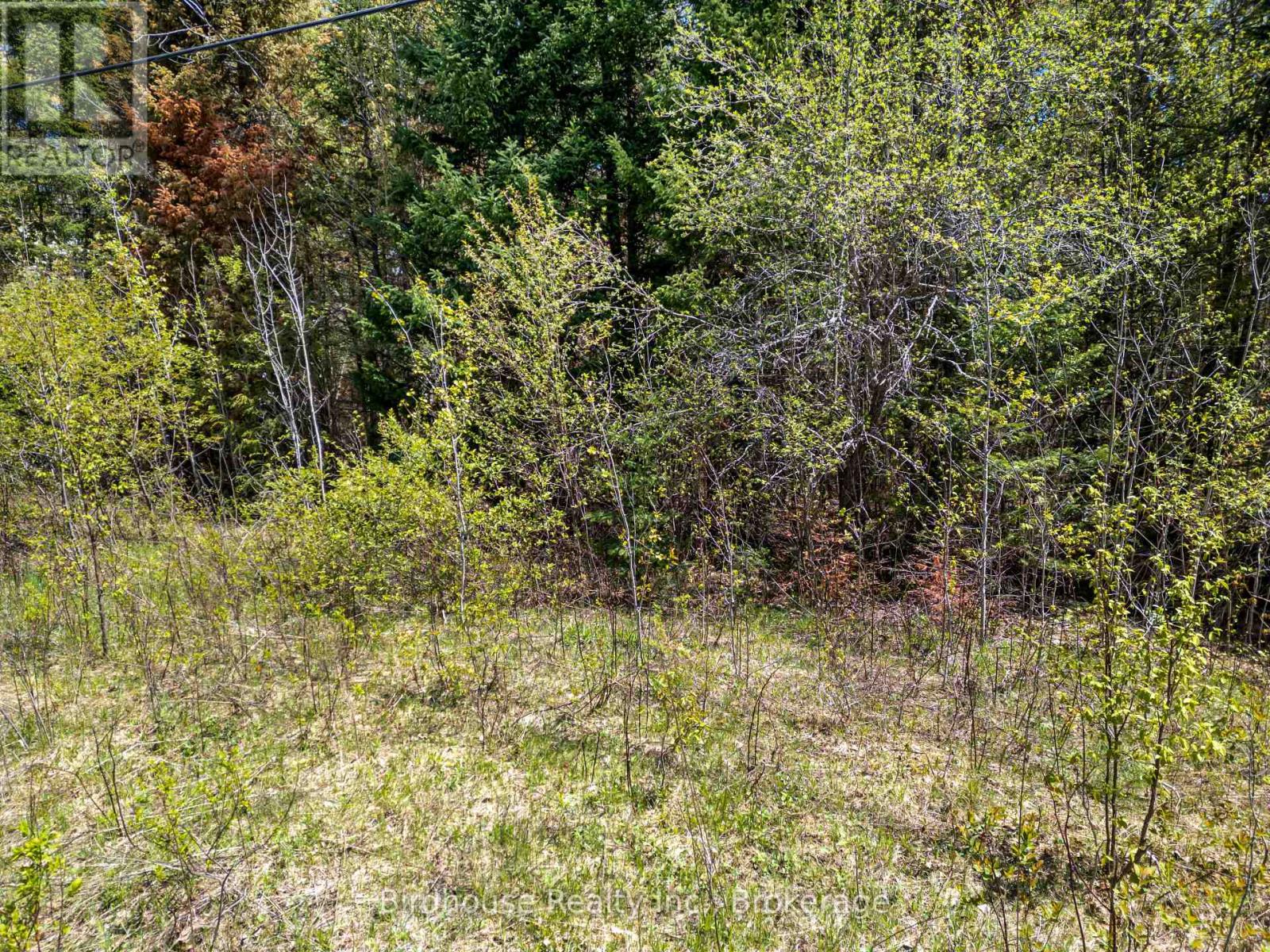 Pt Lt 26 Con 17 Cardiff Hwy #648 (Loop) Road, Highlands East, Ontario  K0L 2A0 - Photo 14 - X13175262