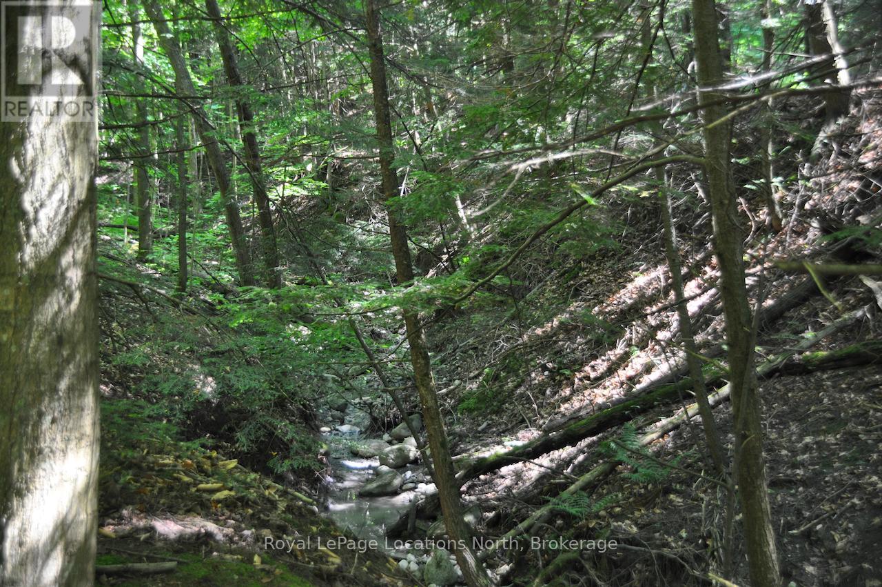 Lot 21 Bayshore Road, Meaford, Ontario  N0H 1B0 - Photo 12 - X13175352