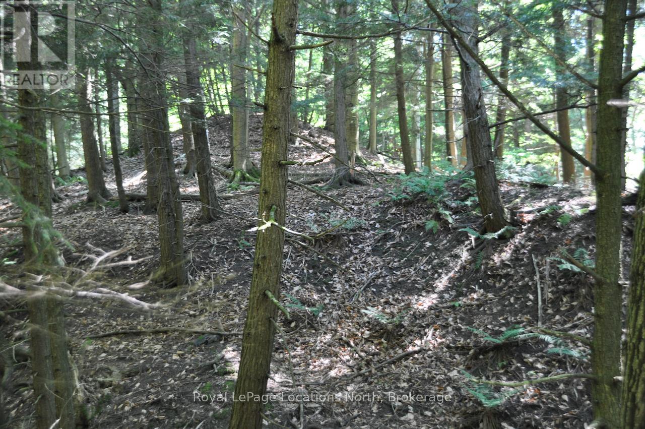 Lot 21 Bayshore Road, Meaford, Ontario  N0H 1B0 - Photo 13 - X13175352