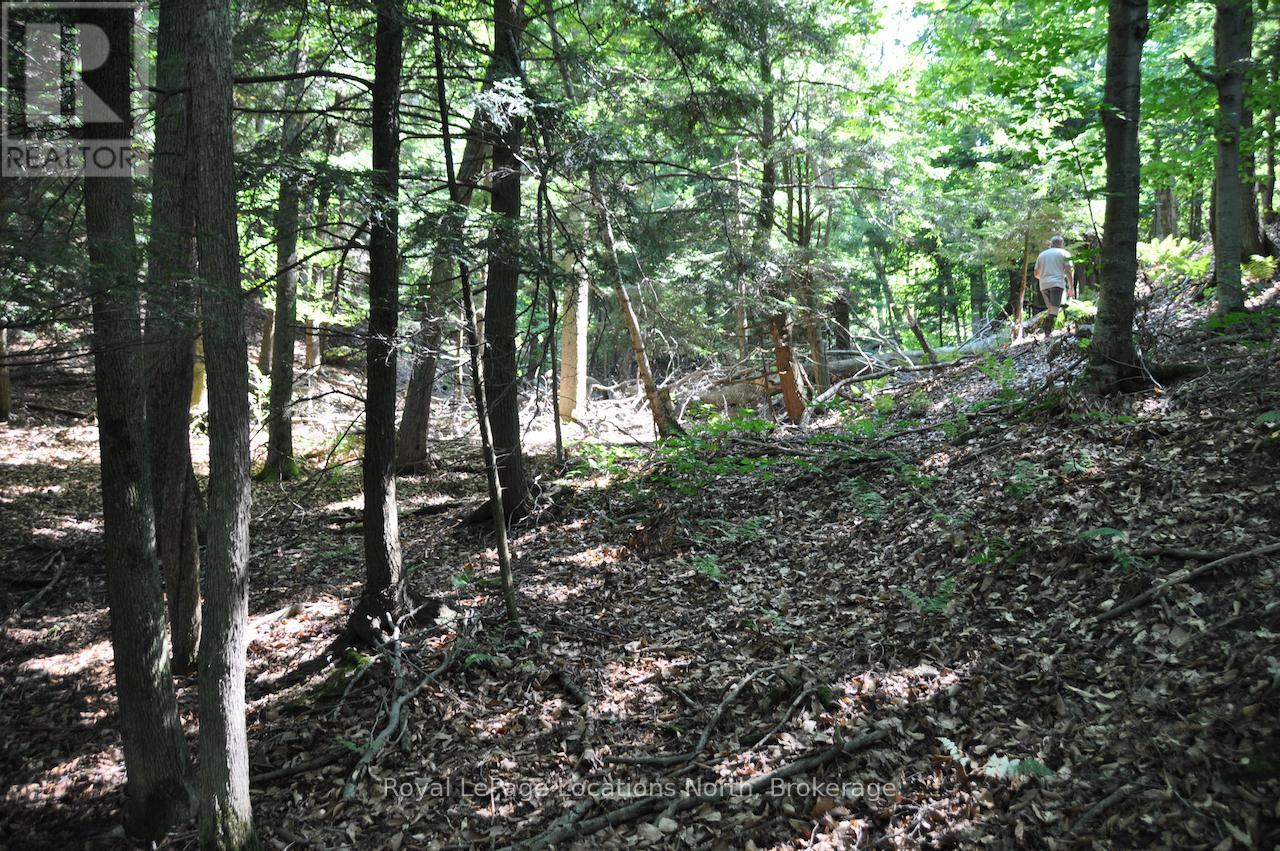 Lot 21 Bayshore Road, Meaford, Ontario  N0H 1B0 - Photo 14 - X13175352