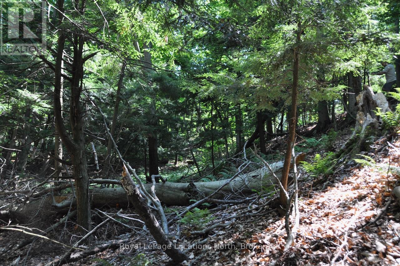Lot 21 Bayshore Road, Meaford, Ontario  N0H 1B0 - Photo 15 - X13175352