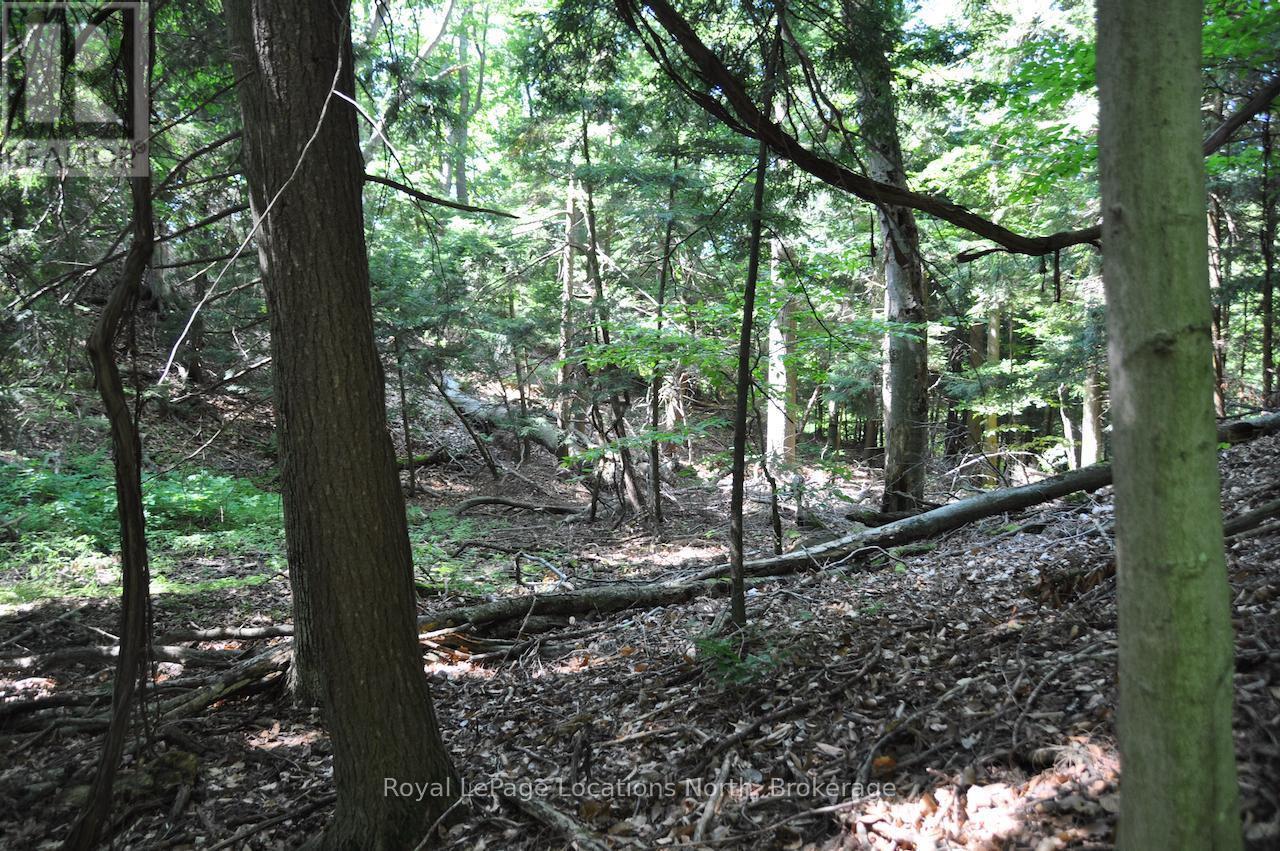 Lot 21 Bayshore Road, Meaford, Ontario  N0H 1B0 - Photo 16 - X13175352
