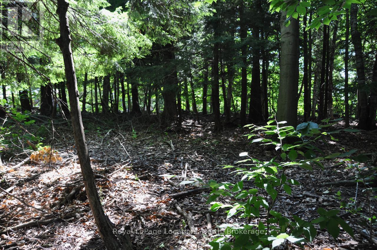 Lot 21 Bayshore Road, Meaford, Ontario  N0H 1B0 - Photo 17 - X13175352