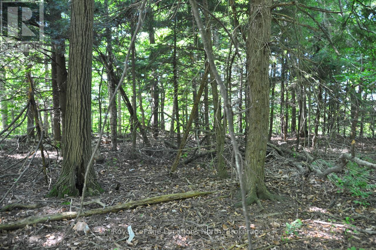 Lot 21 Bayshore Road, Meaford, Ontario  N0H 1B0 - Photo 18 - X13175352