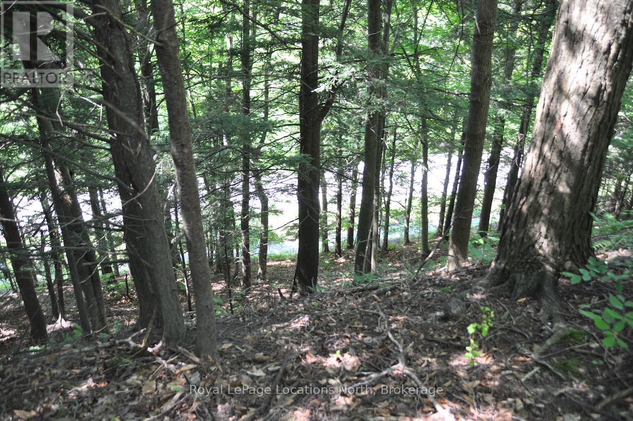 Lot 21 Bayshore Road, Meaford, Ontario  N0H 1B0 - Photo 19 - X13175352