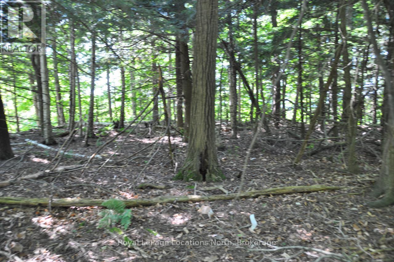 Lot 21 Bayshore Road, Meaford, Ontario  N0H 1B0 - Photo 4 - X13175352