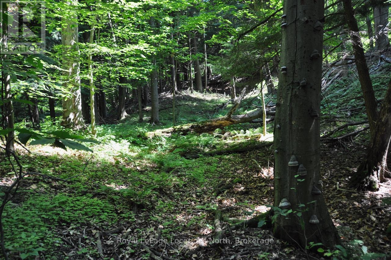 Lot 21 Bayshore Road, Meaford, Ontario  N0H 1B0 - Photo 5 - X13175352