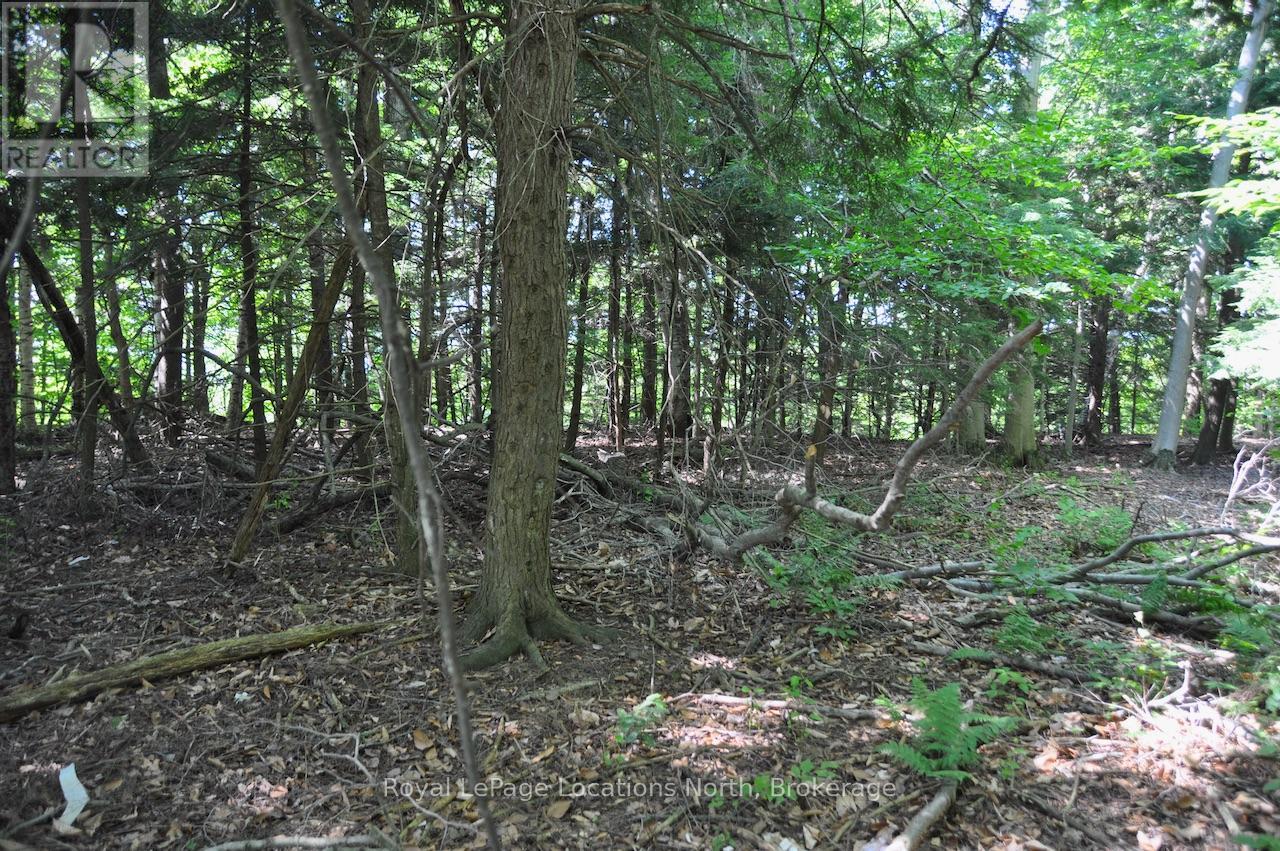 Lot 21 Bayshore Road, Meaford, Ontario  N0H 1B0 - Photo 6 - X13175352