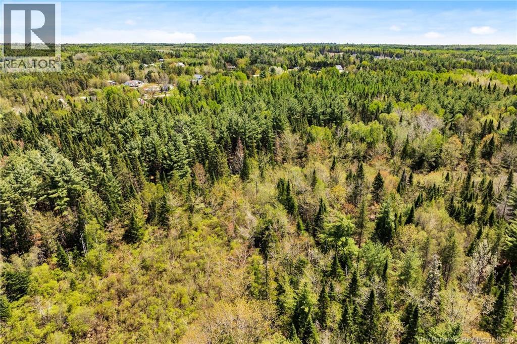 Lot Mcleod Avenue, Chipman, New Brunswick  O0O 0O0 - Photo 18 - NB140343