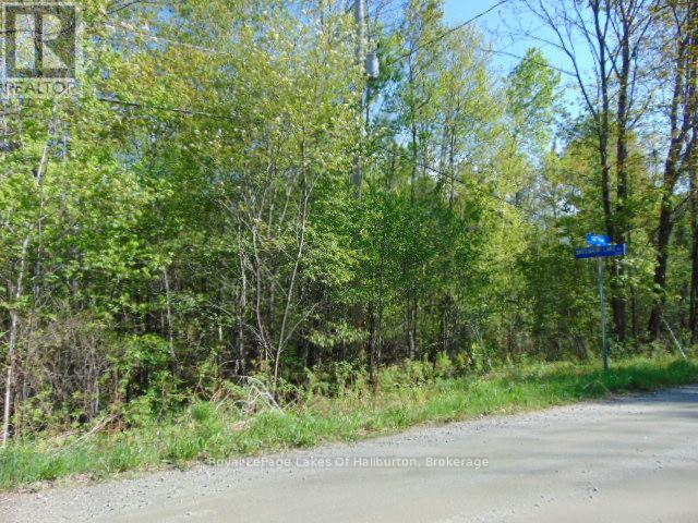 Lot 11 Plan 580 North Drive, Dysart Et Al, Ontario  K0M 1S0 - Photo 2 - X12898396